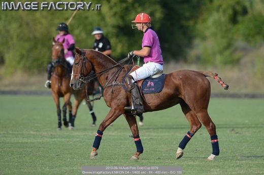 2013-09-14 Audi Polo Gold Cup 0078